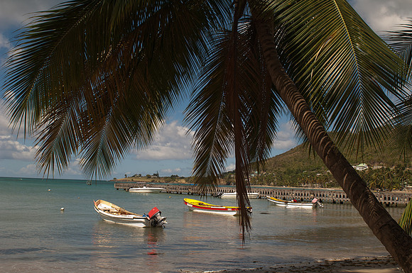 Bill Mortley _Feb202011_St. Lucia_BMP-0029