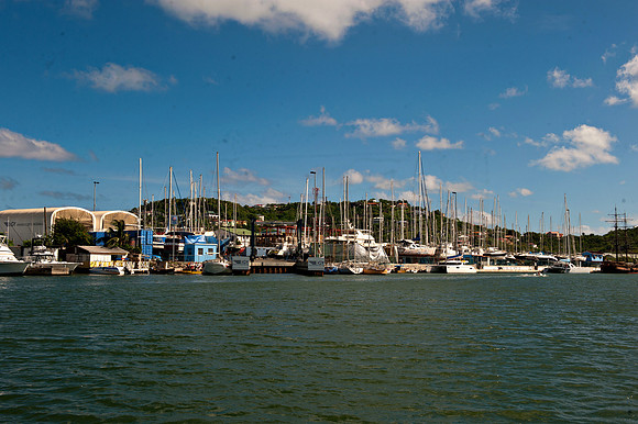 Bill Mortley _11212010_St. Lucia_BMP-9918