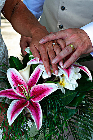 Bill Mortley Photography_Crystal & Terry Parent Wedding Formals_April 15th, 2015 BMP 6616