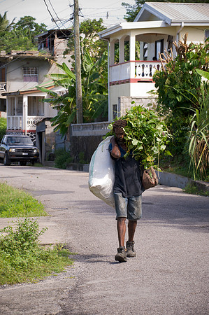 Bill Mortley_St. Lucia_10092010_BMP-5761