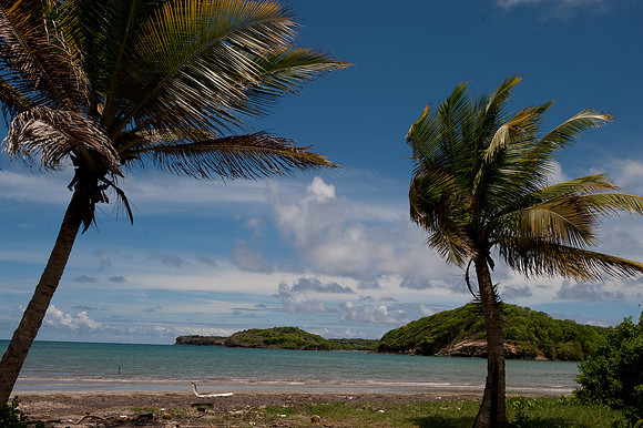 BillMortley_04222010_St. Lucia_  BMP-8639
