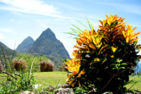 St. Lucia Landscapes