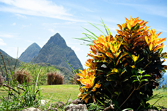 Bill Mortley Photography - Our St Lucia Magazine - APRIL 3 rd_BMP-2313