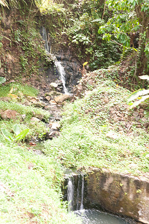 BillMortley_04282010_St. Lucia_  BMP-8716