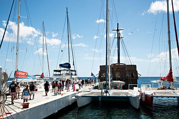 Bill Mortley Photography - Our St Lucia Magazine - APRIL 3 rd_BMP-2388