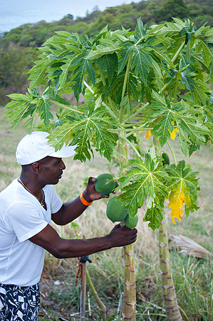 Bill Mortley_ St. Lucia _April 16th, 2013_BMP-6811