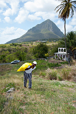 Bill Mortley_ St. Lucia _April 16th, 2013_BMP-6819