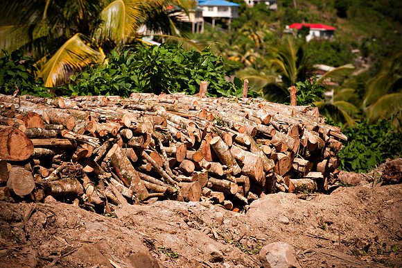 Bill Mortley _12132010_St. Lucia_BMP-1113