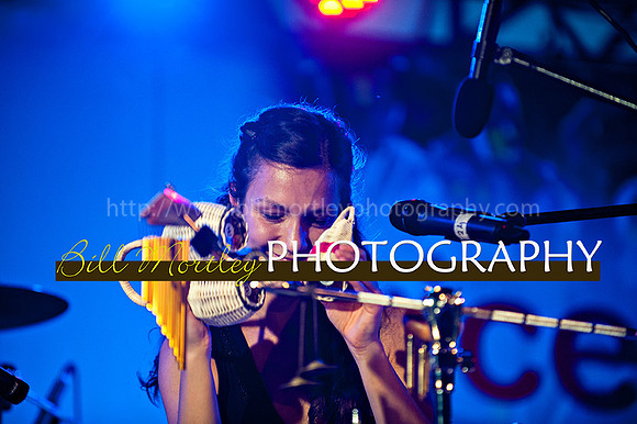 Bill Mortley_Jazz in the South_May 4th, 2014-8635