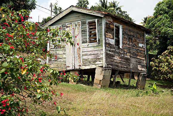 www.billmortleyphotography.com - Castries Today Monday- 04.06.2020_BMP-0081