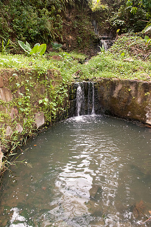 BillMortley_04282010_St. Lucia_  BMP-8721
