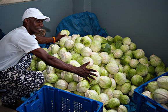 Bill Mortley_ St. Lucia _April 16th, 2013_BMP-6766