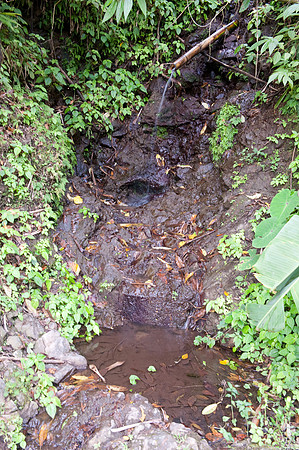 BillMortley_04282010_St. Lucia_  BMP-8765