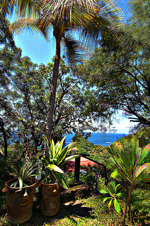 Bill Mortley _10132010_St. Lucia_BMP-5047