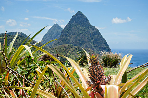 Bill Mortley Photography - Our St Lucia Magazine - APRIL 3 rd_BMP-2333