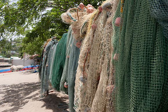 Bill Mortley-St. Lucia_04262010-8657