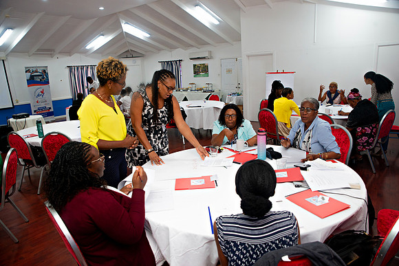 Bill Mortley Photography_FSSP Caribbean- Proposal Writing_April 25th, 2024_BMP-9116