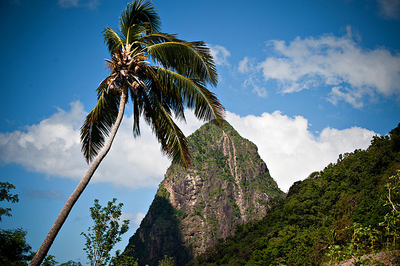 Bill Mortley _12132010_St. Lucia_BMP-1117