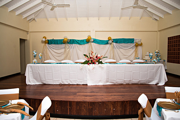 www.billmortleyphotography.com_Veronica Jouavel's 70th Birthday Party - 7.27.2019 - BMP-8366