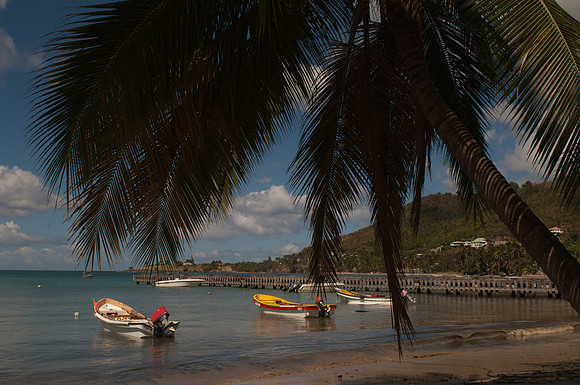 Bill Mortley _Feb202011_St. Lucia_BMP-0036