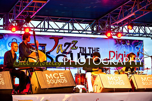 Bill Mortley_Jazz in the South_May 4th, 2014-8593