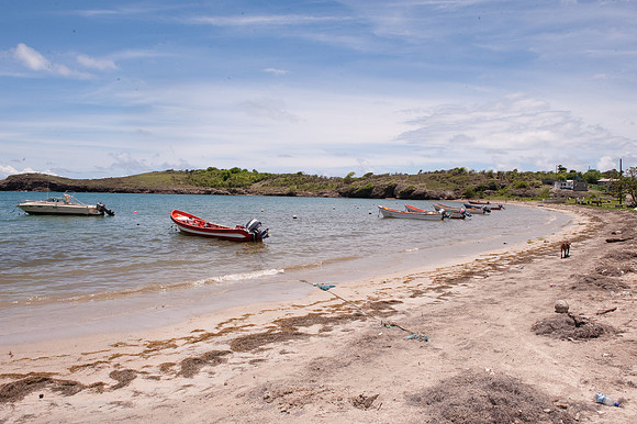 BillMortley_04222010_St. Lucia_  BMP-8598