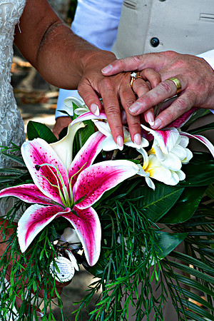 Bill Mortley Photography_Crystal & Terry Hickson Wedding Formals_April 15th, 2015 BMP 6755