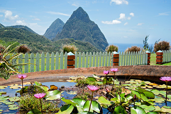 Bill Mortley Photography - Our St Lucia Magazine - APRIL 3 rd_BMP-2329 (1)