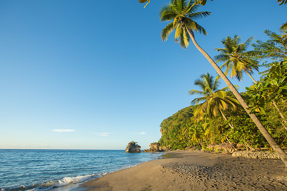Bill Mortley_Utrip Planner St Lucia_AnseMaminBeach__0048
