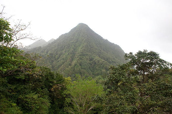 Bill Mortley_Utrip Planner_Morne Gime_  BMP-8759