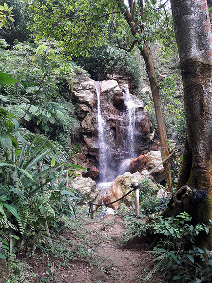 Bill Mortley_Utrip Planner St Lucia_Sapphire Falls  Jungle Spa1