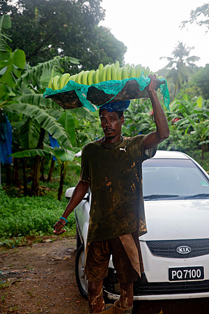 Bill Mortley Photography_David's Banana Projectl_January 22nd, 2024_BMP-7335