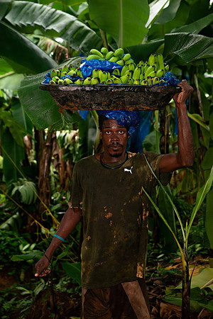 Bill Mortley Photography_David's Banana Projectl_January 22nd, 2024_BMP-7336