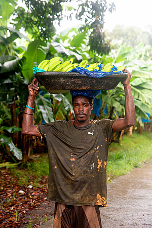 Bill Mortley Photography_David's Banana Projectl_January 22nd, 2024_BMP-7340