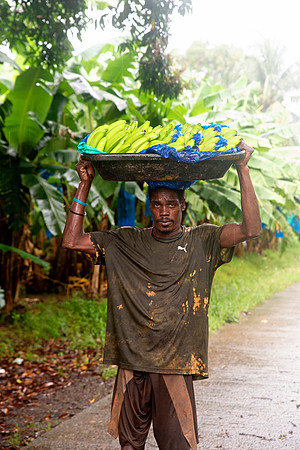 Bill Mortley Photography_David's Banana Projectl_January 22nd, 2024_BMP-7341