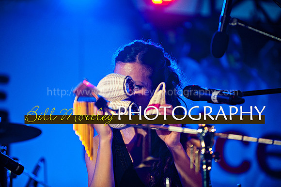 Bill Mortley_Jazz in the South_May 4th, 2014-8637
