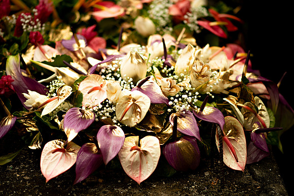 Bill Mortley Photography_The Celebration of the life of Julietta Jane Thomas St. Tout_lMarch 4th, 2024_BMP_8063jpg-5158