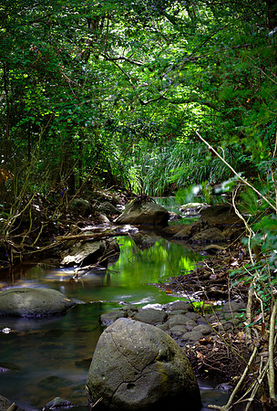 Bill Mortley_St. Lucia - September 5th, 2012_BMP-