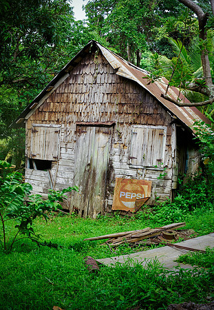 Bill Mortley_St. Lucia - September 6th, 2012_BMP--139