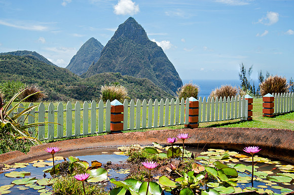 Bill Mortley Photography - Our St Lucia Magazine - APRIL 3 rd_BMP-2316