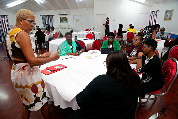 Bill Mortley Photography_FSSP Caribbean- Proposal Writing_April 25th, 2024_BMP-9145