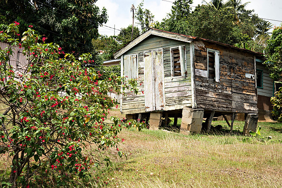 www.billmortleyphotography.com - Castries Today Monday- 04.06.2020_BMP-0078