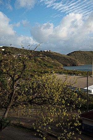 Bill Mortley Photography - Our St Lucia Magazine_04.30.2019_BMP-3871