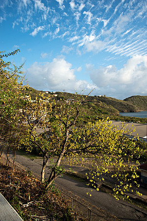 Bill Mortley Photography - Our St Lucia Magazine_04.30.2019_BMP-3874