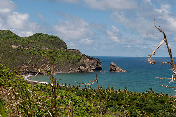 BillMortley_04222010_St. Lucia_  BMP-8646