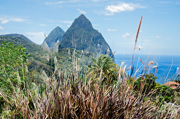 Bill Mortley Photography - Our St Lucia Magazine - APRIL 3 rd_BMP-2320