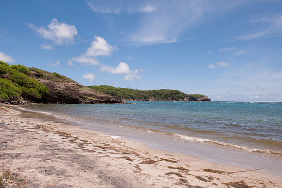 BillMortley_04222010_St. Lucia_  BMP-8601