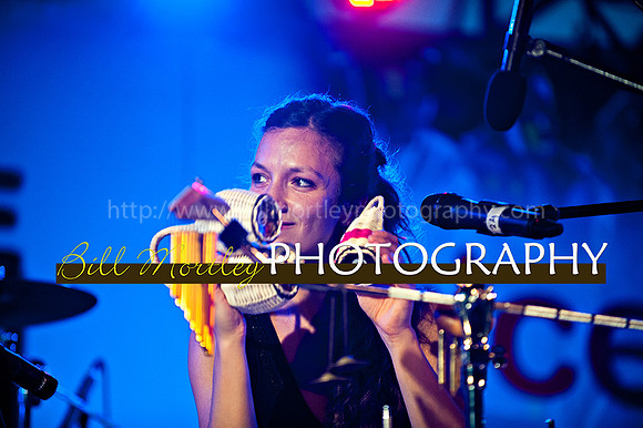 Bill Mortley_Jazz in the South_May 4th, 2014-8639