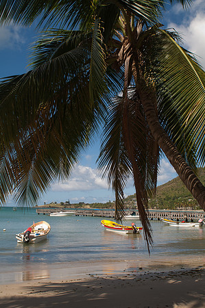 Bill Mortley _Feb202011_St. Lucia_BMP-0031
