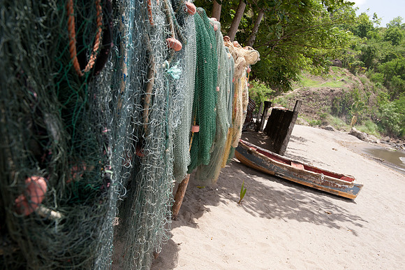 Bill Mortley-St. Lucia_04262010-8658